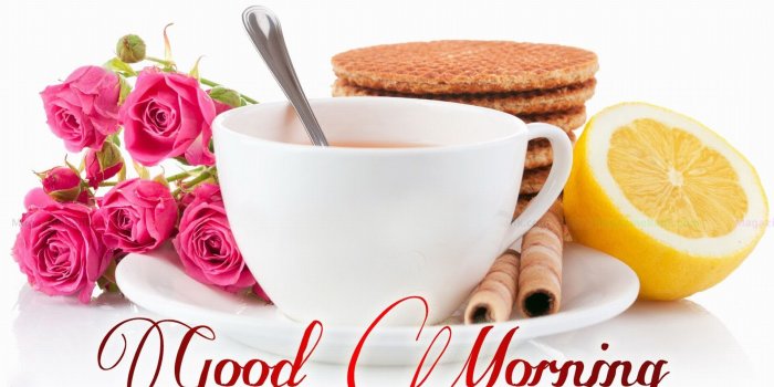 1920x1200 Good Morning Images Hd 1080p Work Wallpaper - Good Morning All My