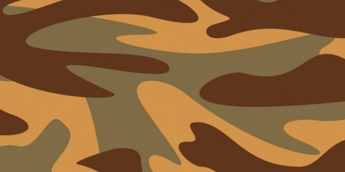 1080x1920 Camo Wallpaper For Iphone (23+ images) on Genchi.info