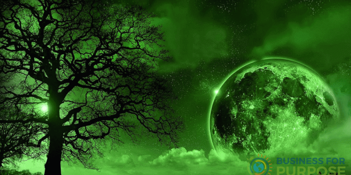 2560x1440 6 Green Business Ideas for Eco-Minded Entrepreneurs | News