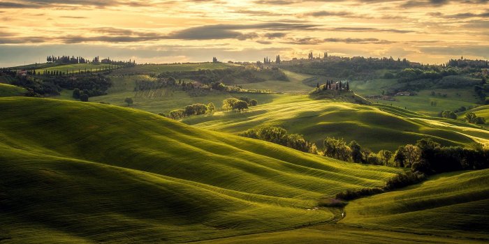 1920x1200 nature, Landscape, Tuscany, Italy, Sunset, Trees, Hill, Clouds