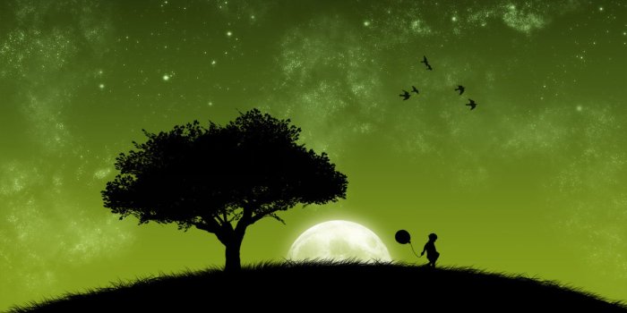 1440x900 trees, Moon, silhouettes :: Wallpapers