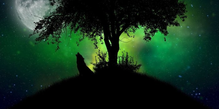 1920x1200 Wolf and Moon Wallpaper (67+ images)
