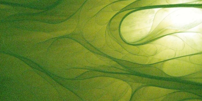 1600x1200 green | gReEn ☮k☮ | Green colors, Green wallpaper, Green moon