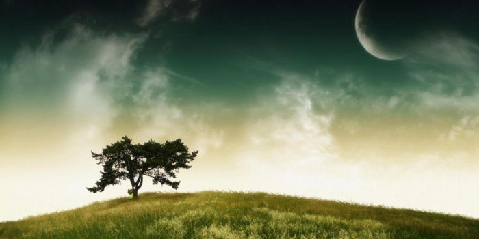 1280x804 Green Sky Moon Tree & Grass wallpapers | Green Sky Moon Tree & Grass