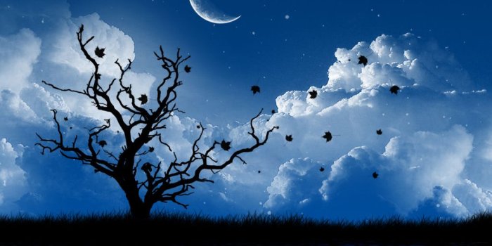 1024x768 moon - Moon Wallpaper (22778811) - Fanpop