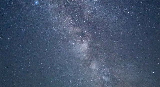 640x1385 My buddies farm was lit iPhone X Wallpapers Free Download