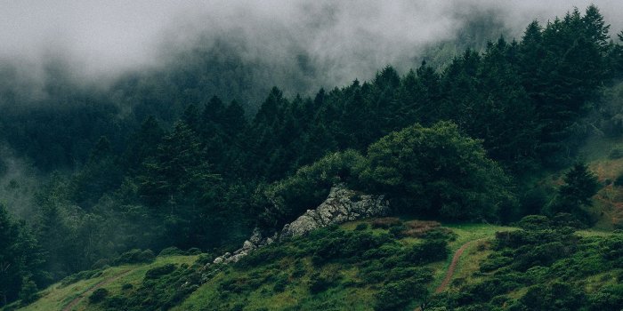 1366x768 na25-nature-mountain-green | pc | Mac wallpaper, Macbook wallpaper