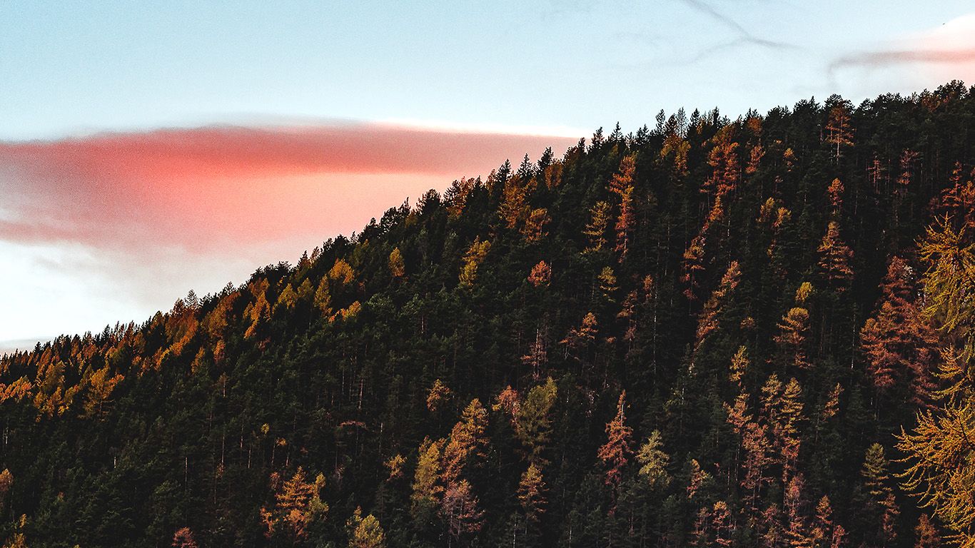 1366x768 wallpaper for desktop, laptop | nz92-fall-mountain-wood-autumn-nature