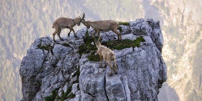 1600x900 Mountain HD Widescreen High Res Backgrounds Wallpapers for Laptop 6