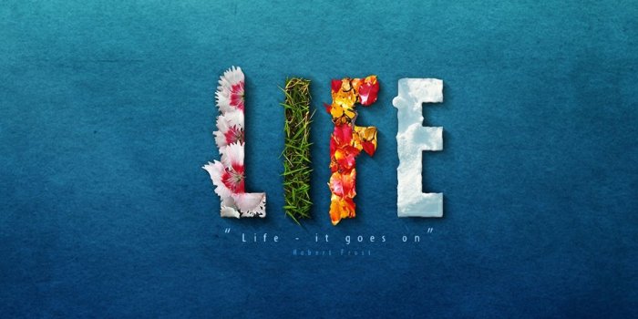 1080x1920 Creative Life Design iPhone 6s Wallpapers HD