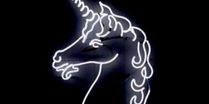 1242x2017 Because Im Lani