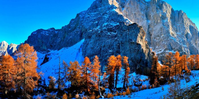 1366x768 HD Background Kranjska Gora Slovenia Snow Mountains Wallpaper