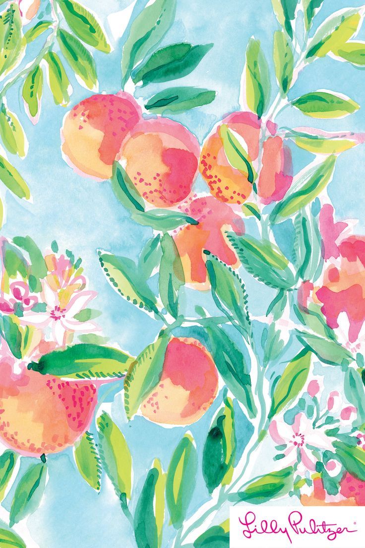 736x1104 9948 high resolution lilly pulitzer wallpaper