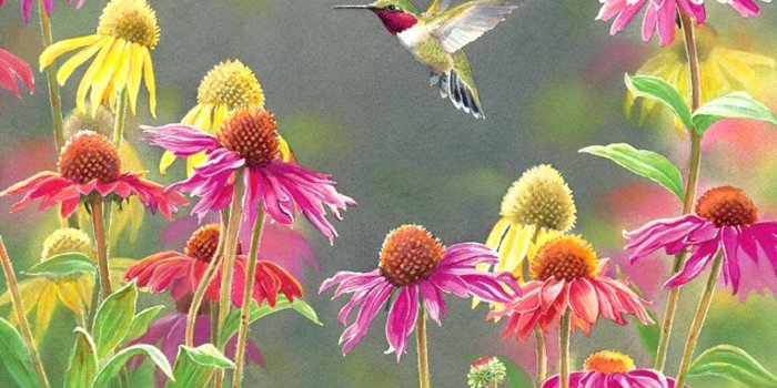 1920x1440 65+ Spring Hummingbird Wallpapers - Download at WallpaperBro