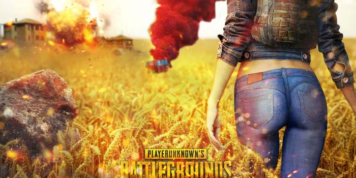 2560x1440 2560x1440 Playerunknowns Battlegrounds 1080P 1440P Resolution HD 4k