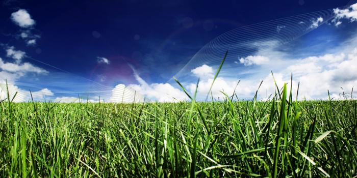 1680x1050 Free download High Contrast Wallpaper Wallpaper World [1920x1200