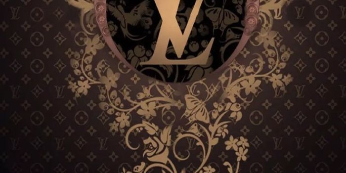 736x1104 logo lv animated gif - Recherche Google | Everything LV | Iphone