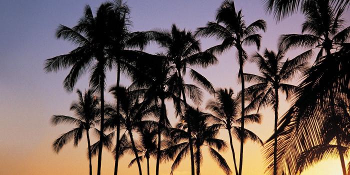 1920x1080 Summer Laptop Wallpapers - Top Free Summer Laptop Backgrounds