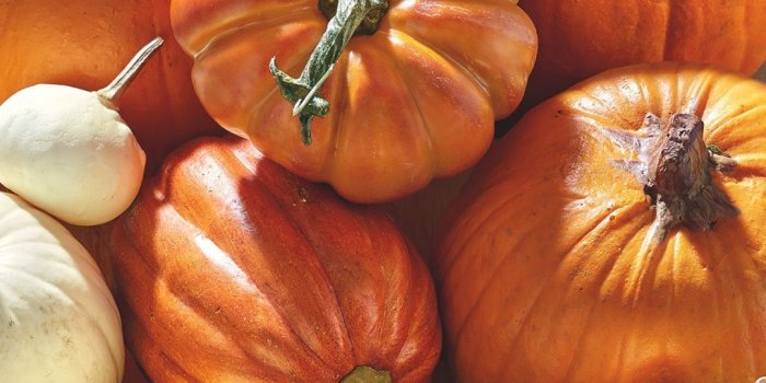 1080x1920 Pumpkin iPhone Wallpaper | SECRET: Bath & Body Works Wallpapers! in