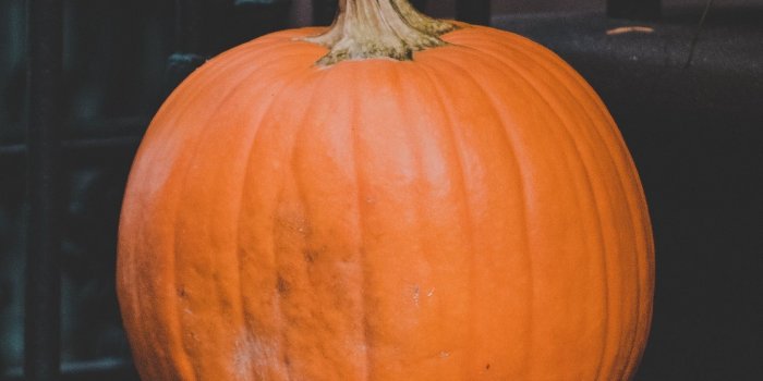 1350x2400 Download wallpaper 1350x2400 pumpkin, autumn, harvest iphone 8+/7+