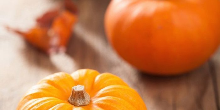 735x1100 Autumn Pumpkin iPhone Wallpapers - Top Free Autumn Pumpkin iPhone