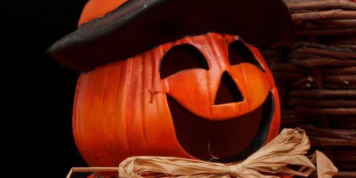 1080x1920 Pumpkin Screensavers and Wallpaper (60+ images)