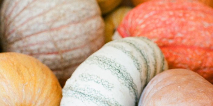 1536x2048 Photodays: October wallpaper with calendar. Pumpkin of course.