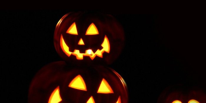 1080x1920 ZenZone on iPhone Wallpapers | Pumpkin wallpaper, Halloween