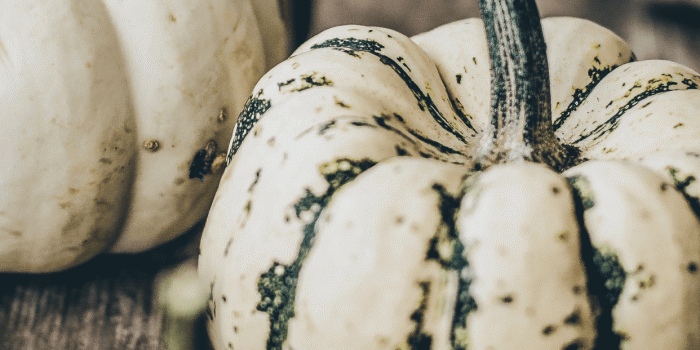 1242x2688 Pumpkin wallpapers for iPhone: download them now!