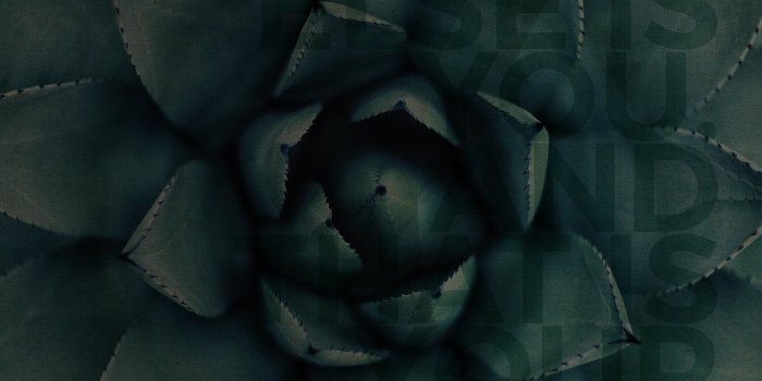 2048x2048 Digital Wallpaper Download: June 2016 – Zoe Organics