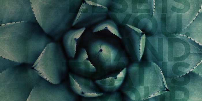 2048x2048 Digital Wallpaper Download: June 2016 – Zoe Organics