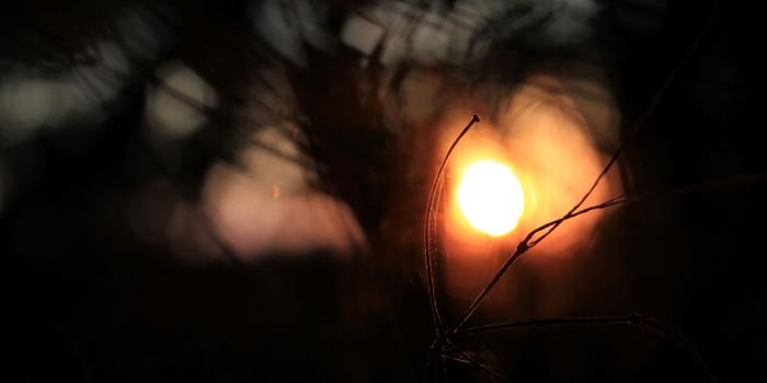 2560x1600 Beautiful Dark Background wallpaper | 2560x1600 | #29308