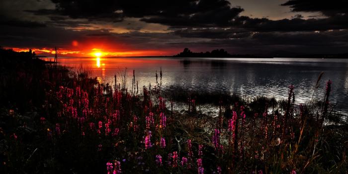 2560x1600 Beautiful dark sunset wallpaper | 2560x1600 | 4444 | WallpaperUP