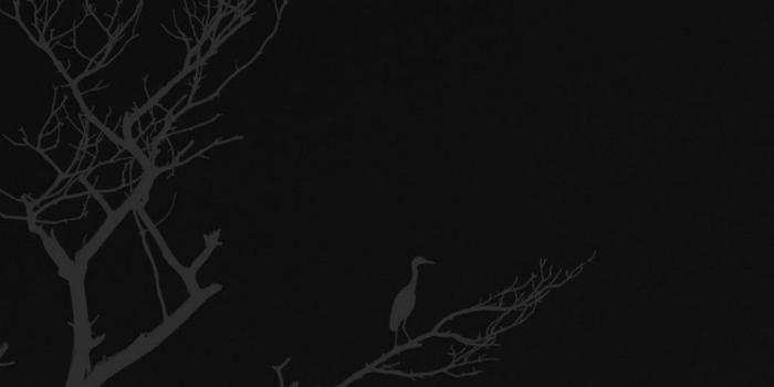 1080x1920 Dark Wallpapers Hd Resolution » Hupages » Download Iphone Wallpapers