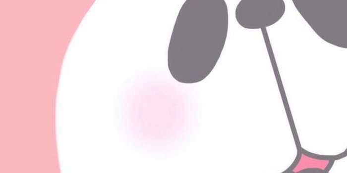 1080x1920 84+ Panda Iphone Wallpapers on WallpaperPlay