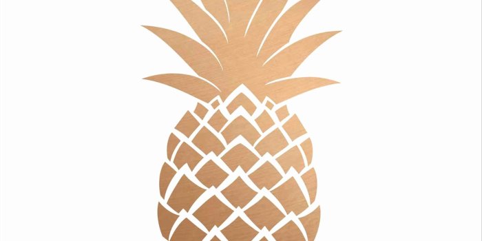 1900x2457 Rose Gold Wallpapers (73+ background pictures)