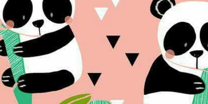 1080x1920 Stone Sour Wallpapers Panda