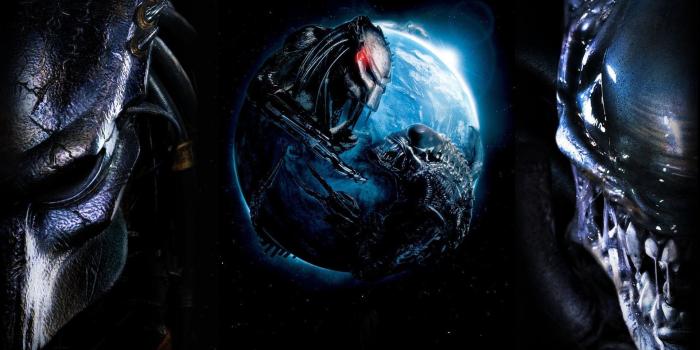 1920x1080 Predator hd wallpapers Gallery