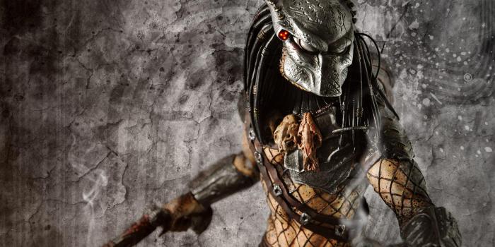 1920x1200 Predator Wallpapers (27+)