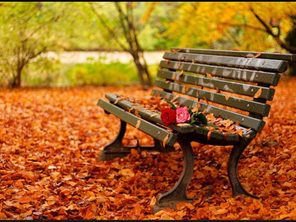 1024x768 Romantic autumn - Daydreaming Wallpaper (18932448) - Fanpop
