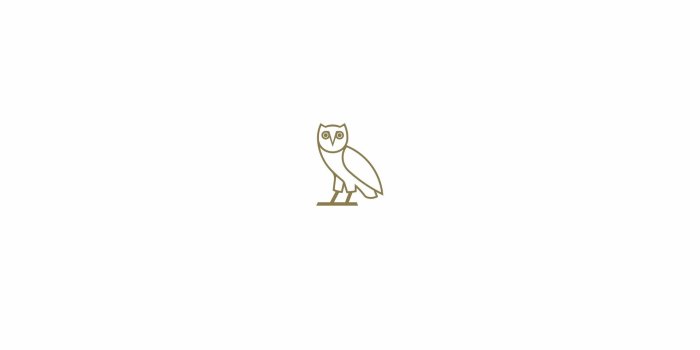 1920x1080 77+ Drake Ovo Wallpapers on WallpaperPlay