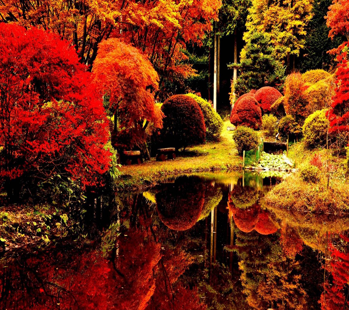 1440x1280 Romantic Autumn Wallpaper by _Savanna_ - 09 - Free on ZEDGE™