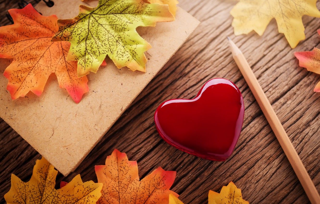 1332x850 Wallpaper autumn, leaves, love, heart, red, love, heart, wood