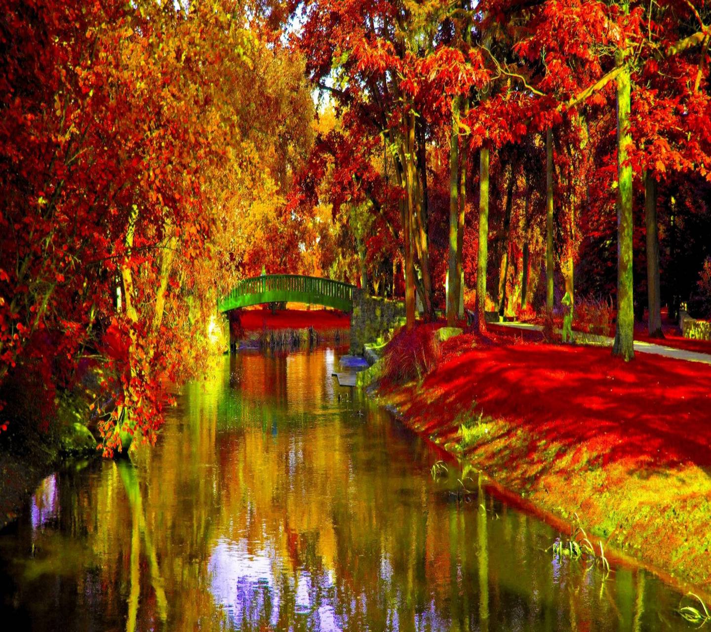 1440x1280 Romantic Autumn Wallpaper by _Savanna_ - a5 - Free on ZEDGE™