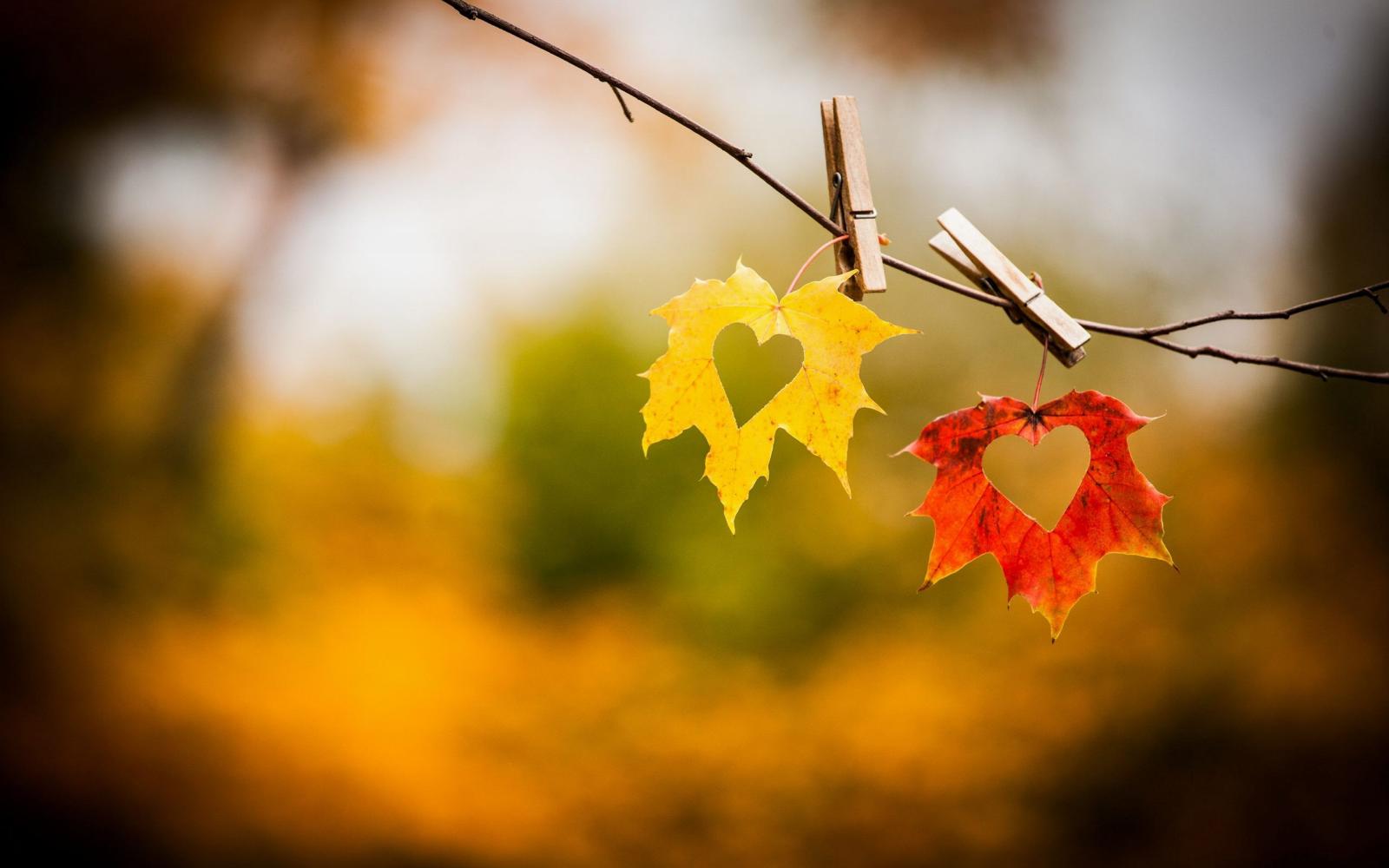 2560x1600 Autumn Heart Wallpapers High Quality | Download Free