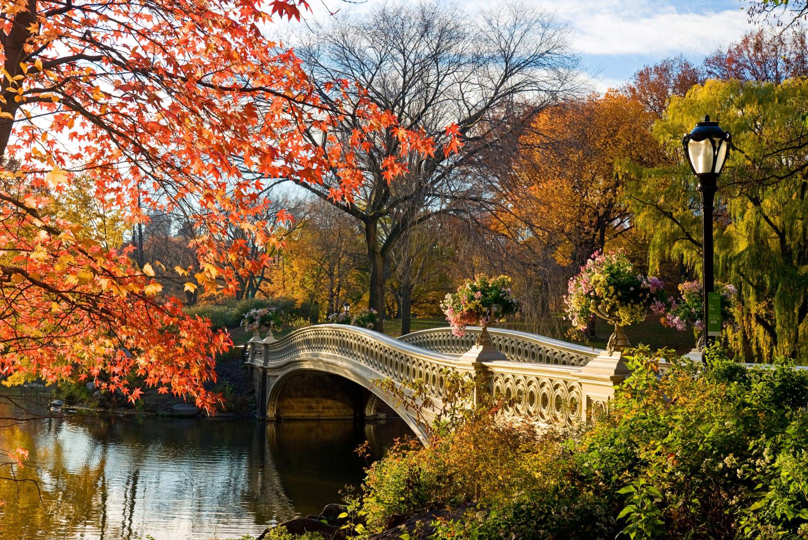 4500x3013 Best 50+ Romantic Autumn in New York Wallpaper on HipWallpaper