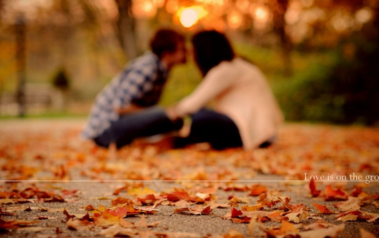 1280x804 Autumn love wallpapers | Autumn love stock photos