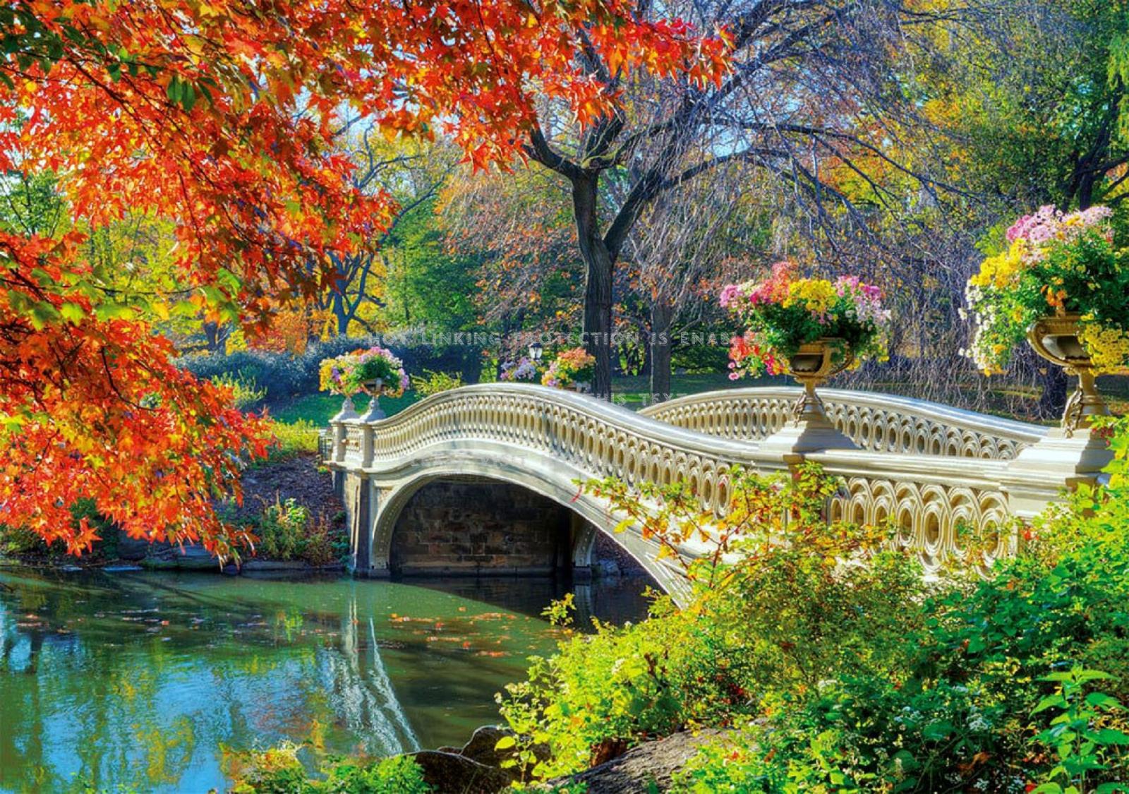 2560x1800 romantic bridge in autumn flowers fall love