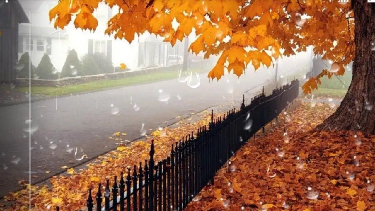 1280x720 Romantic wallpapers download.love wallpapers.rain wallpapers romantic