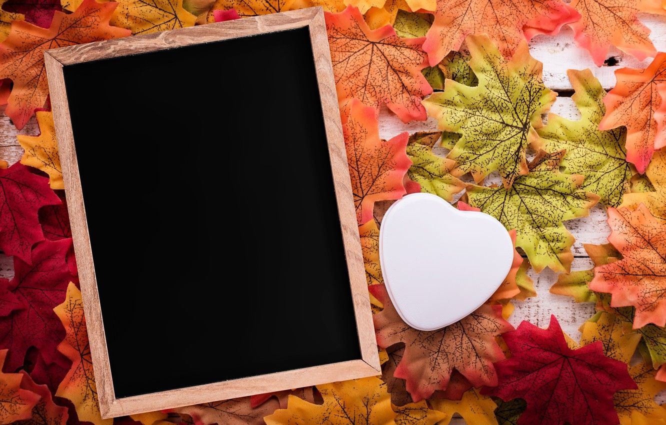 1332x850 Wallpaper autumn, leaves, love, background, tree, heart, frame, love